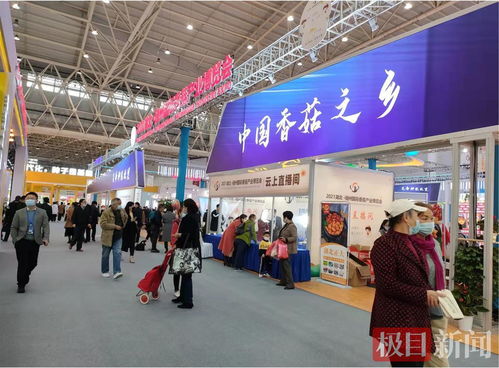 全球香菇薈江城 武漢國際香菇產(chǎn)業(yè)博覽會引領(lǐng)行業(yè)新浪潮