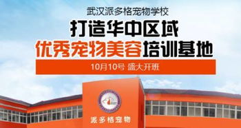 武漢指尖優(yōu)品與派多格寵物技術(shù)專修學校 攜手打造寵物行業(yè)品質(zhì)教育新標桿